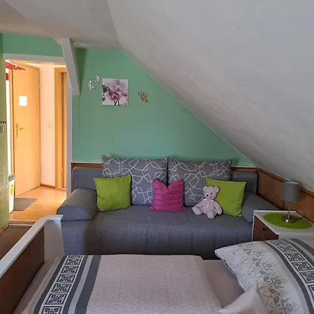 Kaufmann 2 Apartment